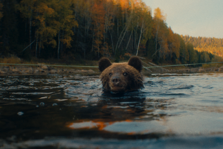 Пальма-2
