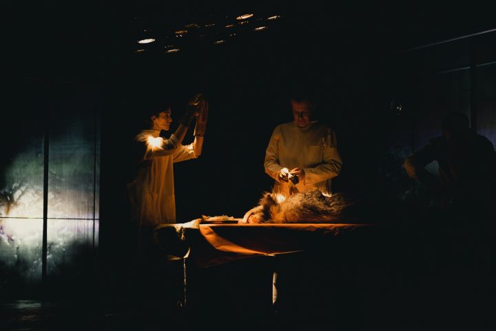 TheatreHD: Собачье сердце