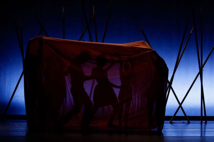 TheatreHD: Кайдановский. Спящая красавица